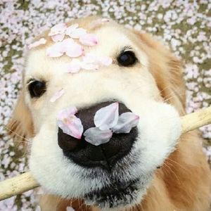 老人日屄黄色片
